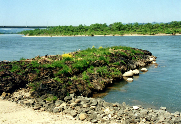 Đập bảo vệ tại tỉnh Saitama, Nhật Bản